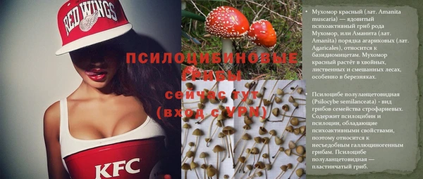 твердый Аркадак