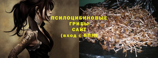 прущие крисы Армянск