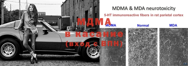 твердый Аркадак