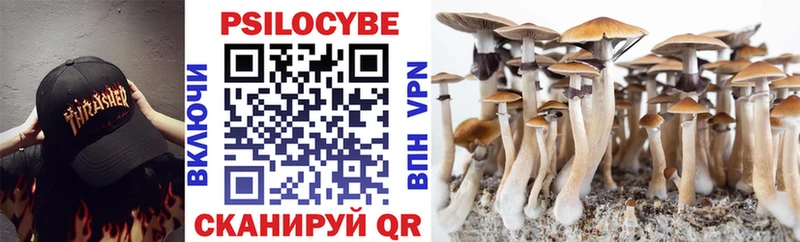 Купить где  Иваново  Псилоцибиновые грибы MAGIC MUSHROOMS 