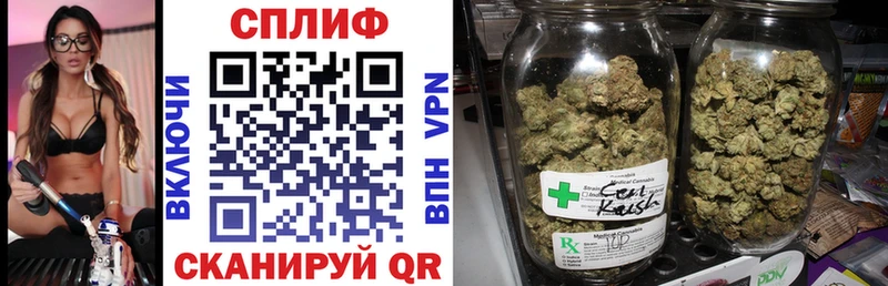 Конопля ГИДРОПОН  Купить  Иваново 